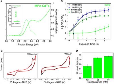 Designing Superoxide-Generating Quantum Dots for Selective Light-Activated Nanotherapy